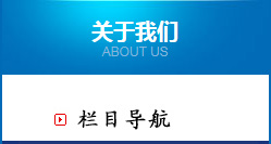 公司概況